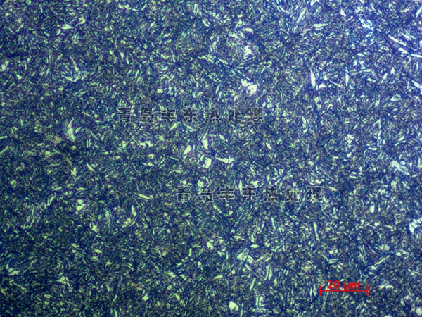 1660300242511825.jpg 73.jpg