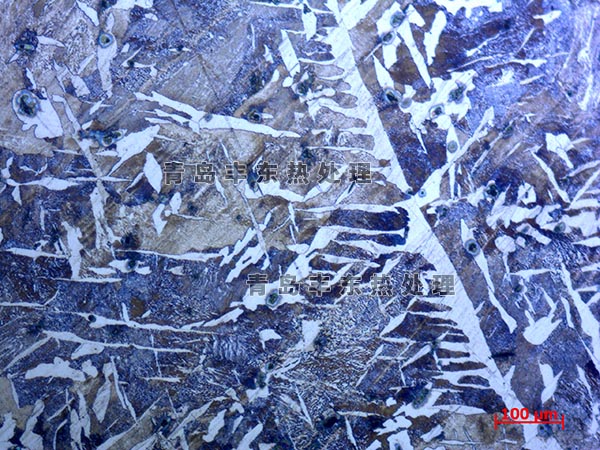 鑄造質(zhì)量金相分析